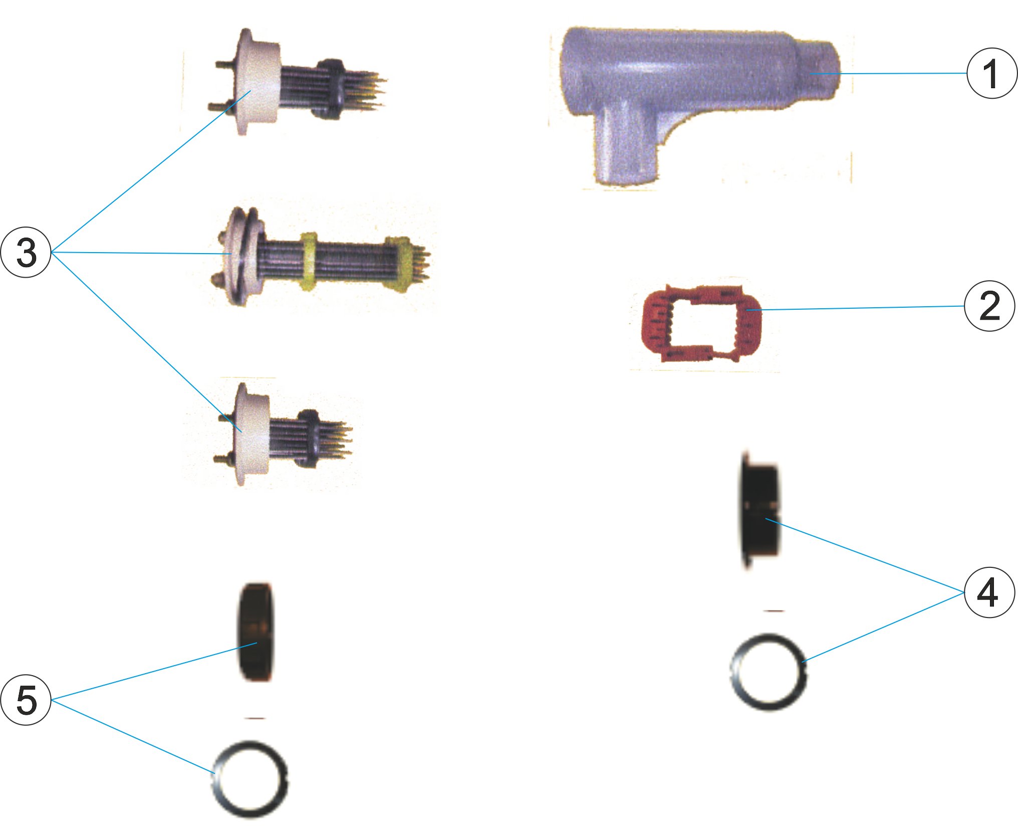 ELEKTROLYSE SEL BASIC