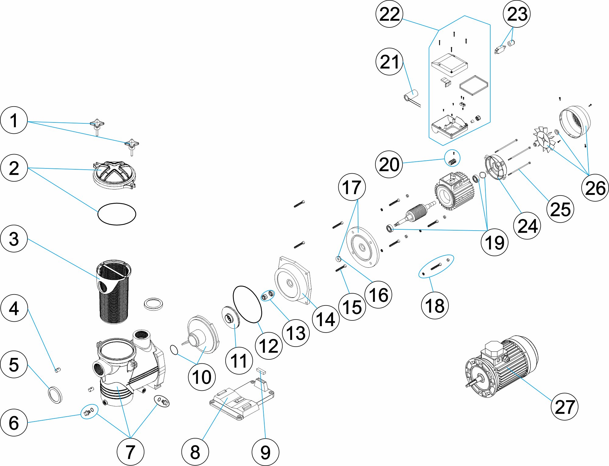 POMPE DISCOVERY